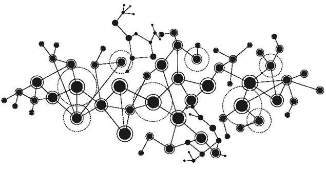 Komplet netværk 